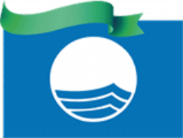 logo blauwe vlag