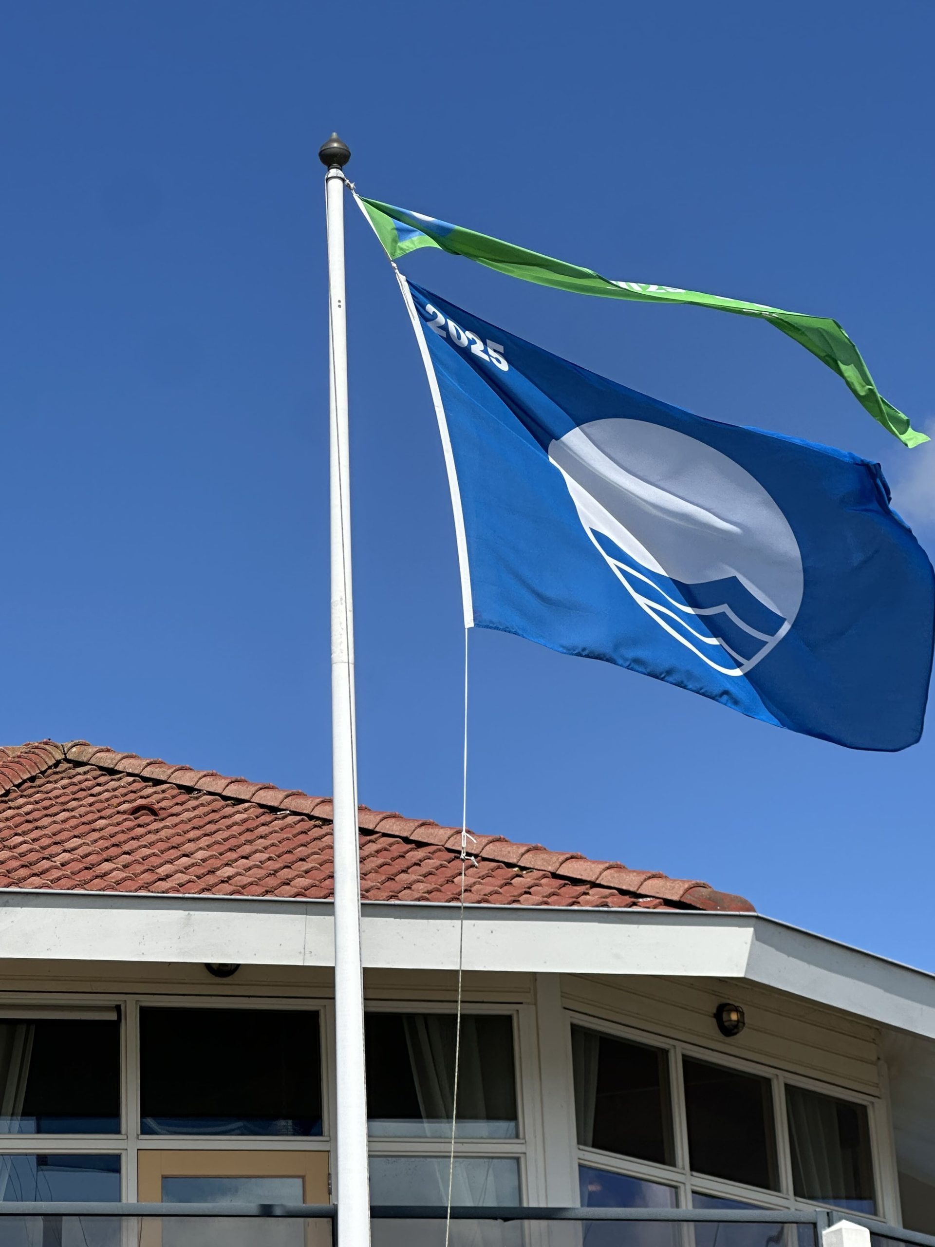 Blauwe vlag