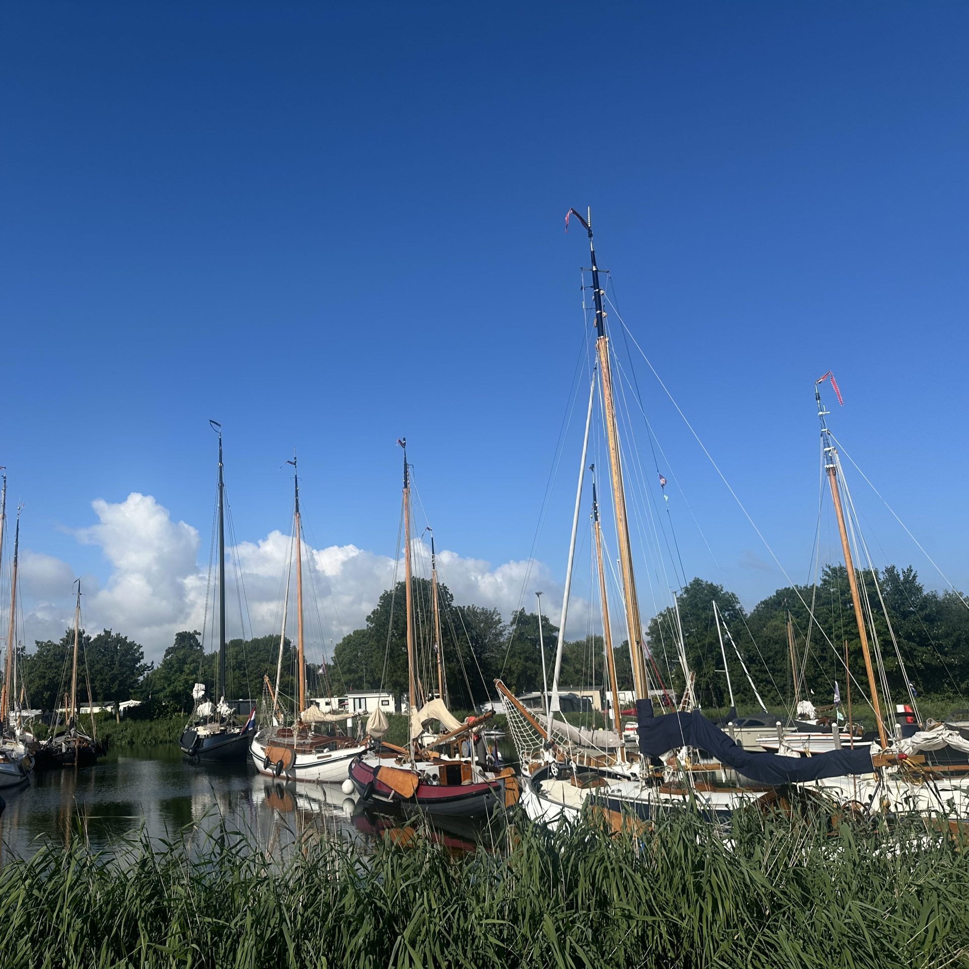 Lemsteraken kopie